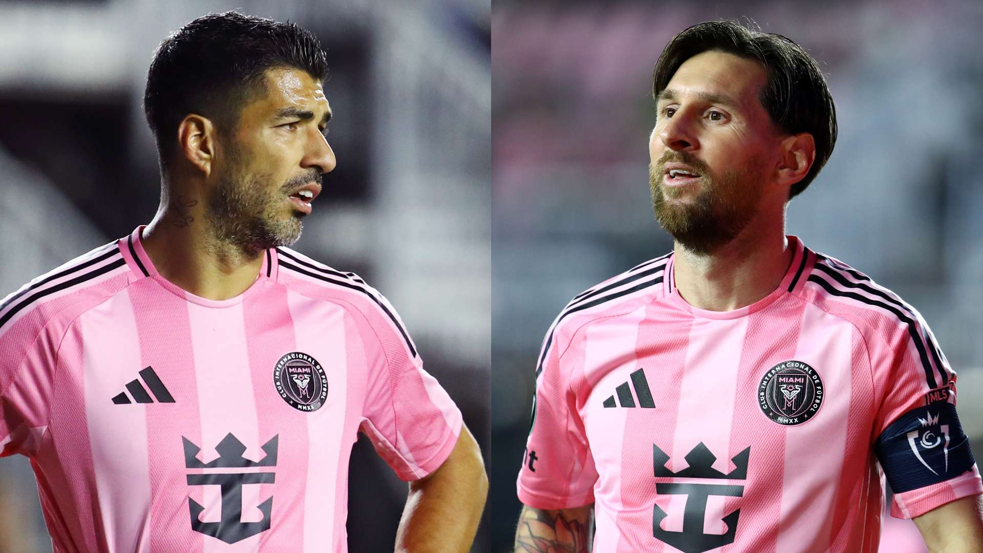 未来展望与 未来展望与