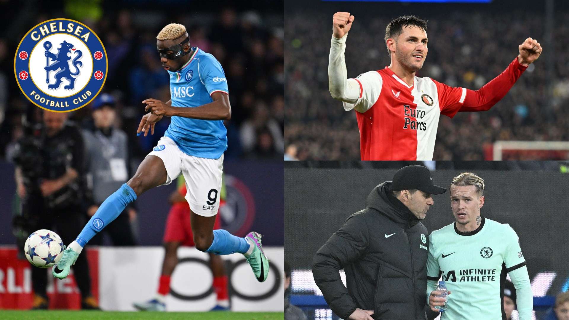 採進攻型戰 採進攻型戰