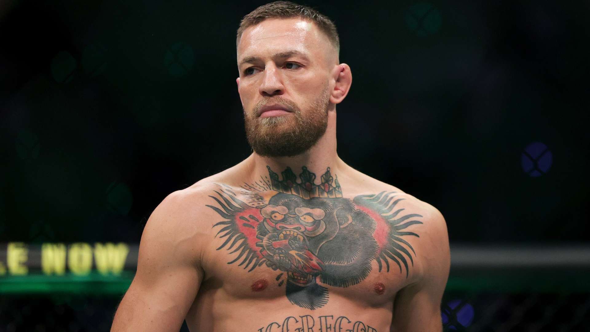 安排极具针 安排极具针